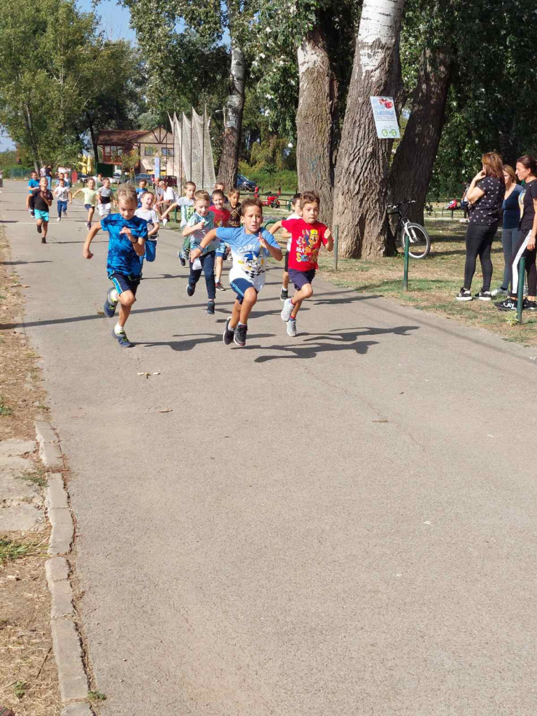 IMG-d9b3e8deed1c1835cf8697894a73ee95-V.jpg IMG-d9b3e8deed1c1835cf8697894a73ee95-V.jpg